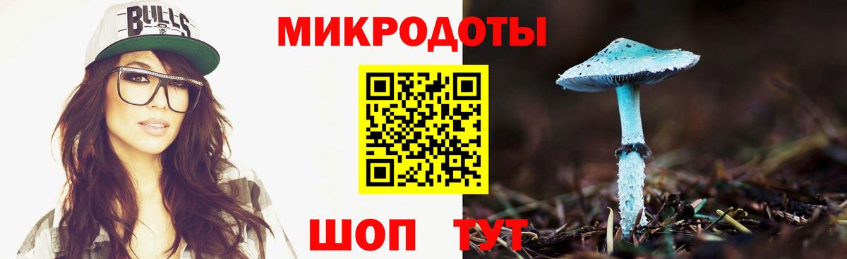 Псилоцибиновые грибы прущие грибы Новосибирск